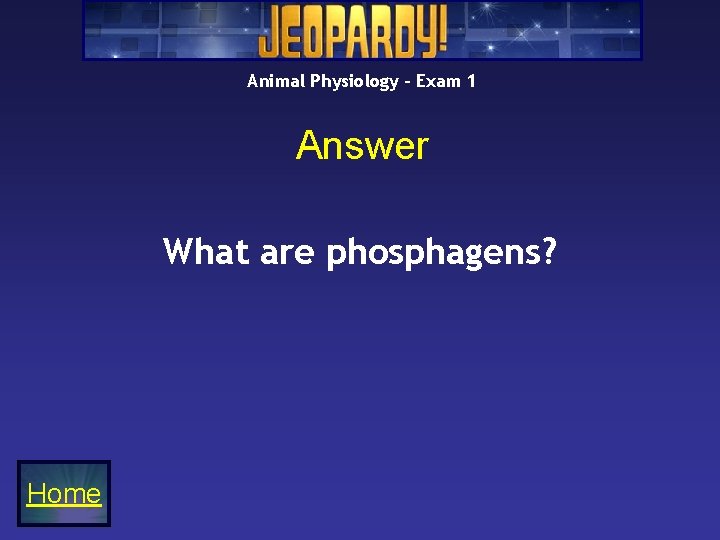 Animal Physiology – Exam 1 Answer What are phosphagens? Home 