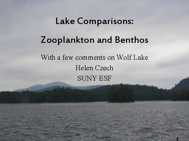 Lake Comparisons: Zooplankton and Benthos With a few comments on Wolf Lake Helen Czech