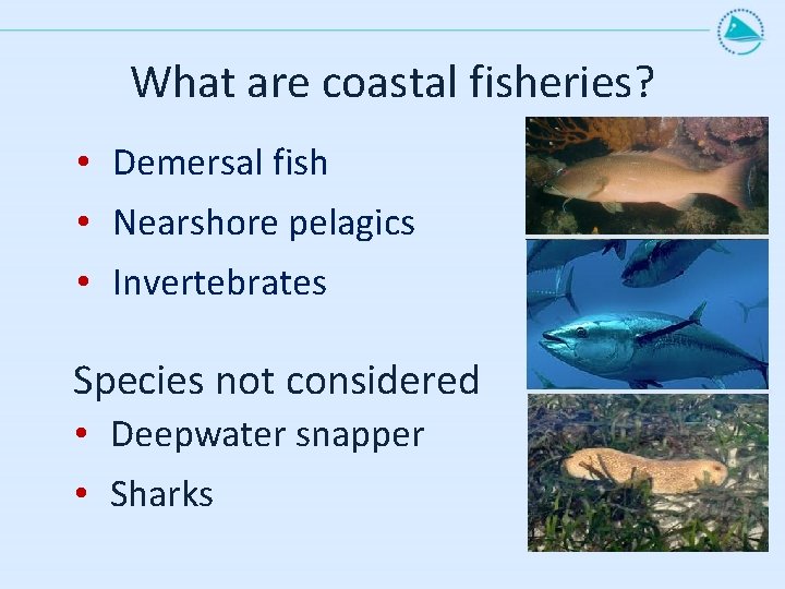 What are coastal fisheries? • Demersal fish • Nearshore pelagics • Invertebrates Species not