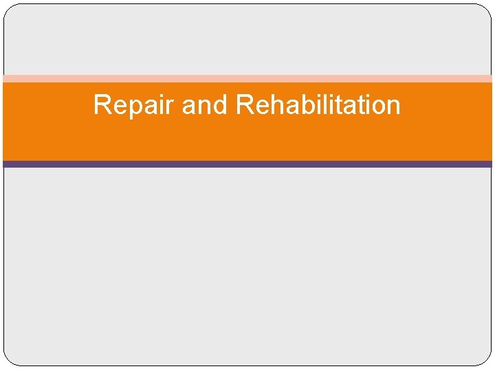 Repair and Rehabilitation 