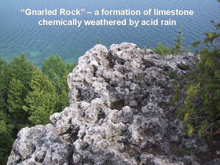 “Gnarled Rock” – a formation of limestone chemically weathered by acid rain 