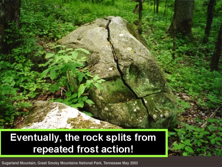 Eventually, the rock splits from repeated frost action! 