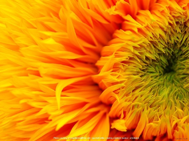 Photo courtesy of visualdensity@flikr. com - granted under creative commons licence - attribution 