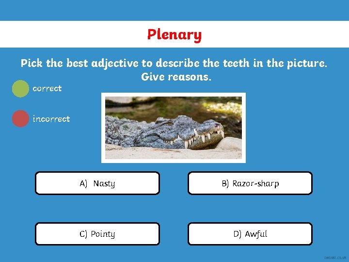 Plenary Pick the best adjective to describe the teeth in the picture. Give reasons.