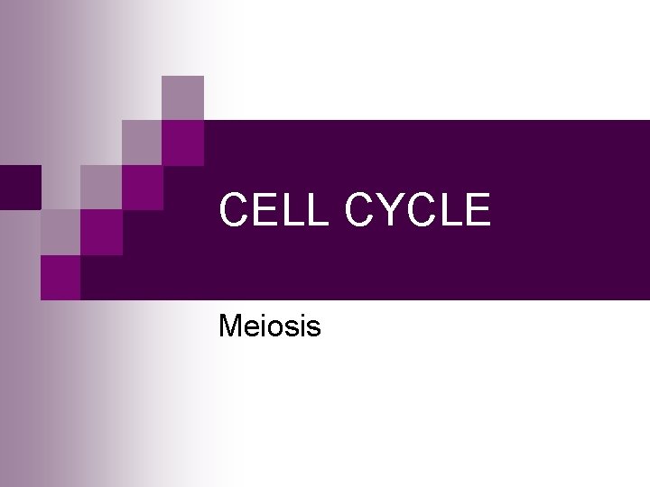 CELL CYCLE Meiosis 