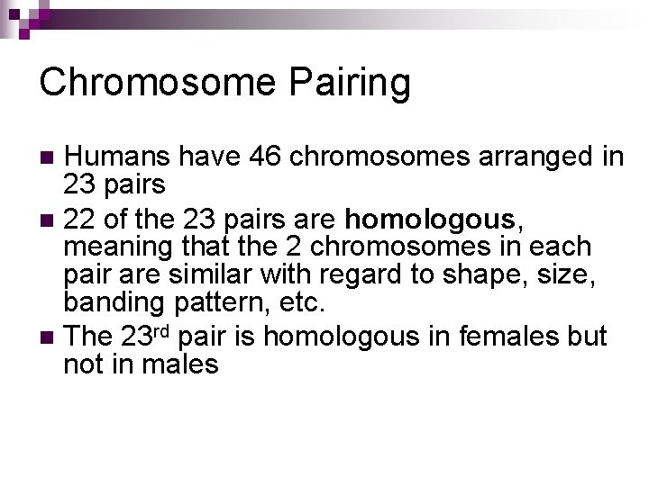 Chromosome Pairing Humans have 46 chromosomes arranged in 23 pairs n 22 of the