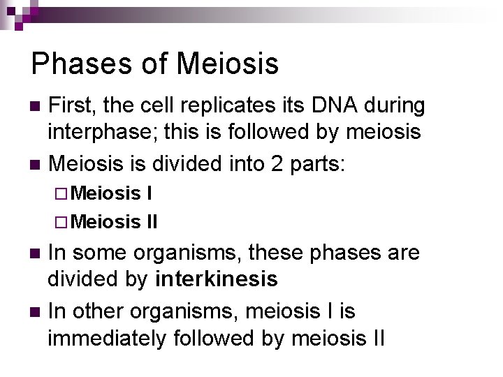 Phases of Meiosis First, the cell replicates its DNA during interphase; this is followed