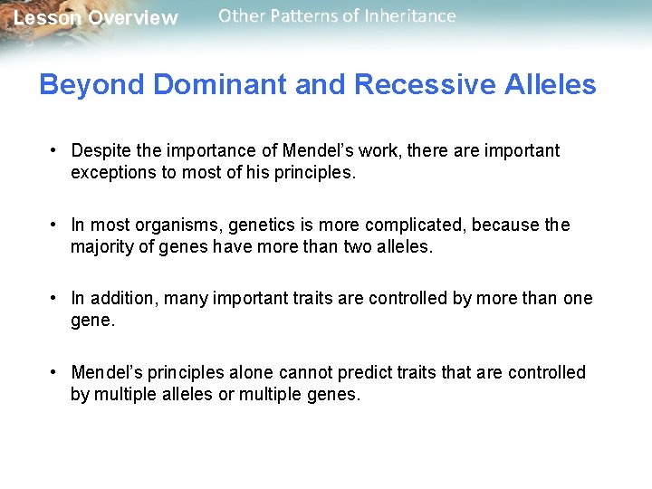 Lesson Overview Other Patterns of Inheritance Beyond Dominant and Recessive Alleles • Despite the Lesson Overview Other Patterns of Inheritance Beyond Dominant and Recessive Alleles • Despite the