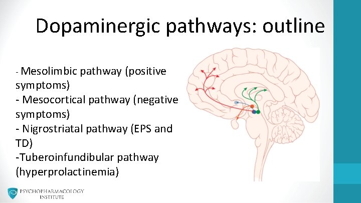 Dopaminergic pathways: outline - Mesolimbic pathway (positive symptoms) - Mesocortical pathway (negative symptoms) - Dopaminergic pathways: outline - Mesolimbic pathway (positive symptoms) - Mesocortical pathway (negative symptoms) -