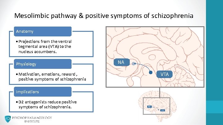 Mesolimbic pathway & positive symptoms of schizophrenia Anatomy • Projections from the ventral tegmental Mesolimbic pathway & positive symptoms of schizophrenia Anatomy • Projections from the ventral tegmental