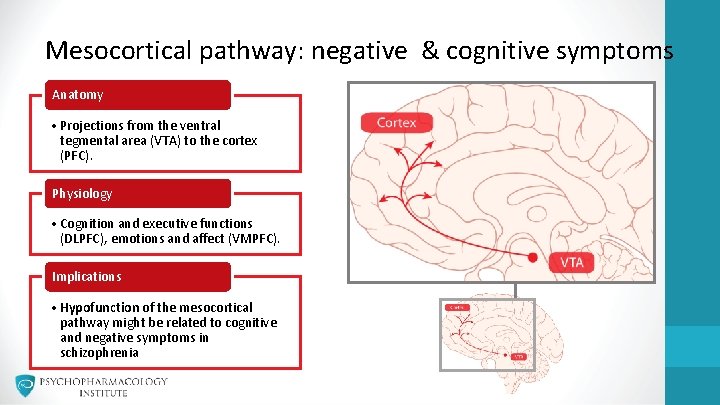 Mesocortical pathway: negative & cognitive symptoms Anatomy • Projections from the ventral tegmental area Mesocortical pathway: negative & cognitive symptoms Anatomy • Projections from the ventral tegmental area