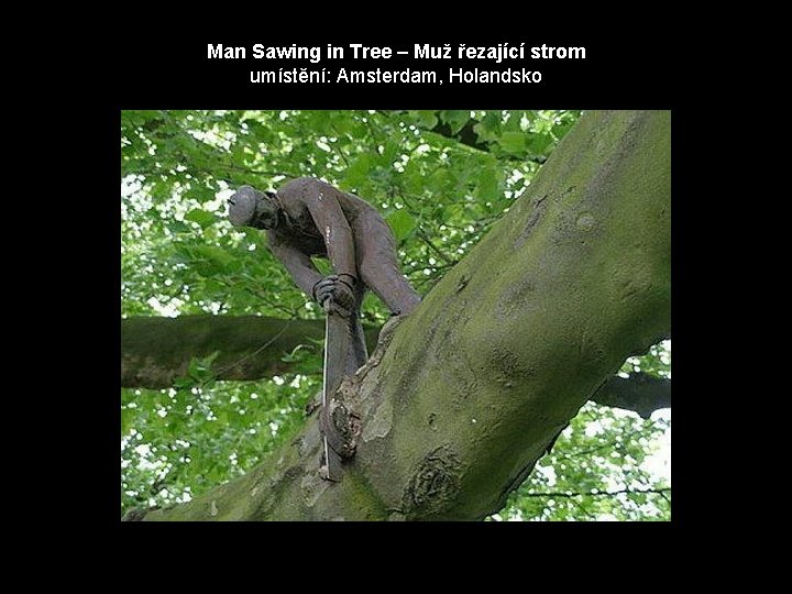 Man Sawing in Tree – Muž řezající strom umístění: Amsterdam, Holandsko 