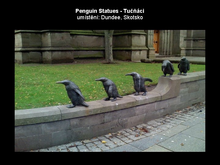 Penguin Statues - Tučňáci umístění: Dundee, Skotsko 