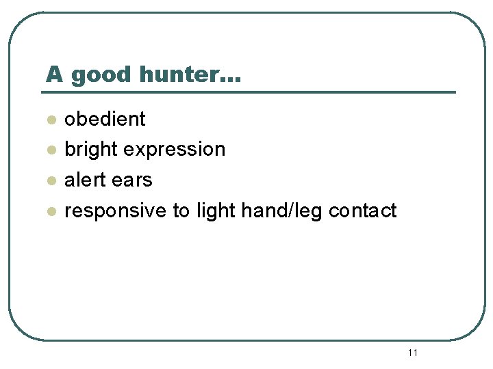 A good hunter… l l obedient bright expression alert ears responsive to light hand/leg