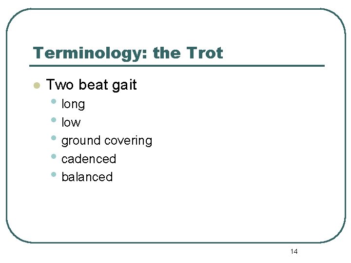 Terminology: the Trot l Two beat gait • long • low • ground covering