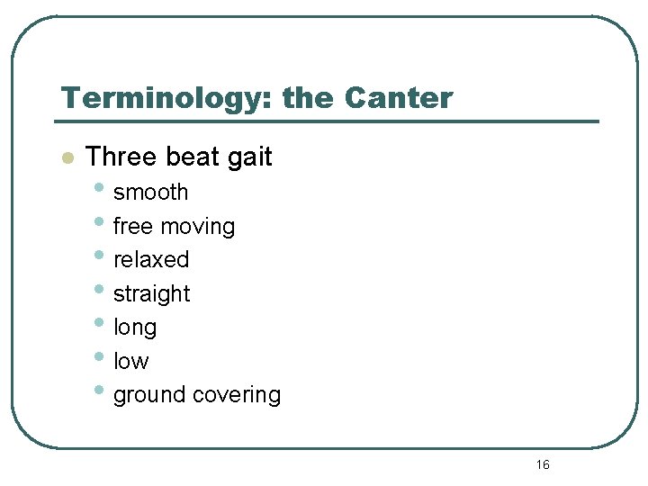 Terminology: the Canter l Three beat gait • smooth • free moving • relaxed