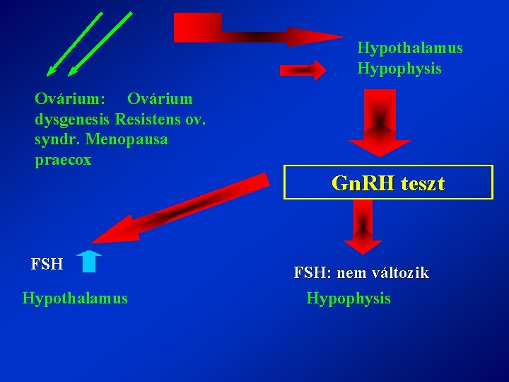 Hypothalamus Hypophysis Ovárium: Ovárium dysgenesis Resistens ov. syndr. Menopausa praecox Gn. RH teszt FSH