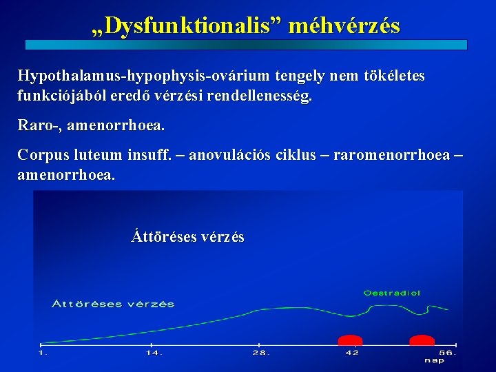 „Dysfunktionalis” méhvérzés Hypothalamus-hypophysis-ovárium tengely nem tökéletes funkciójából eredő vérzési rendellenesség. Raro-, amenorrhoea. Corpus luteum