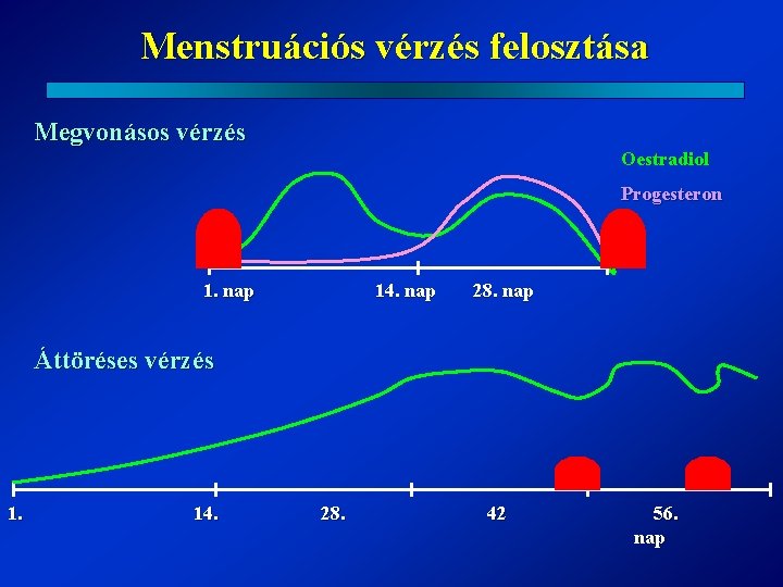 Menstruációs vérzés felosztása Megvonásos vérzés Oestradiol Progesteron 1. nap 14. nap 28. nap Áttöréses