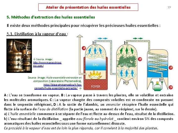 Atelier de présentation des huiles essentielles 19 5. Méthodes d'extraction des huiles essentielles Il