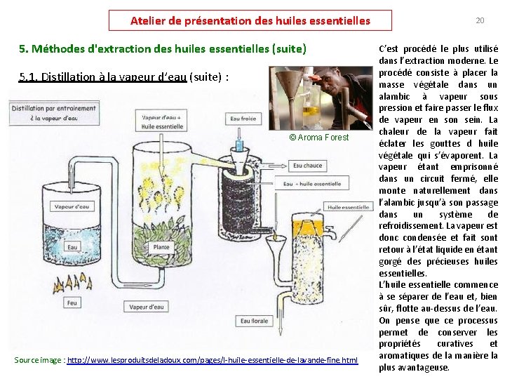 Atelier de présentation des huiles essentielles 5. Méthodes d'extraction des huiles essentielles (suite) 5.