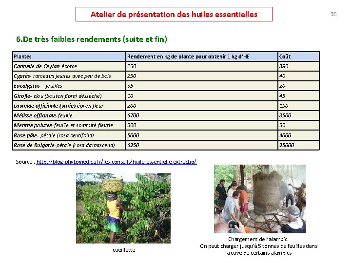 Atelier de présentation des huiles essentielles 30 6. De très faibles rendements (suite et