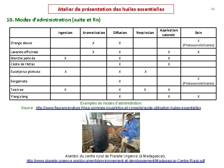 Atelier de présentation des huiles essentielles 44 10. Modes d’administration (suite et fin) Ingestion