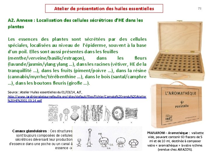 Atelier de présentation des huiles essentielles 78 A 2. Annexe : Localisation des cellules