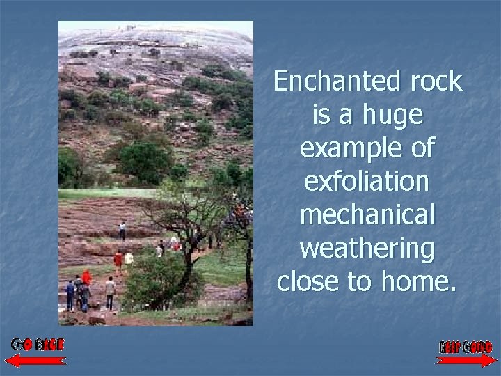 Enchanted rock is a huge example of exfoliation mechanical weathering close to home. 