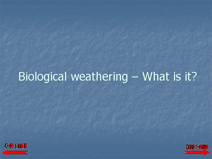 Biological weathering – What is it? 