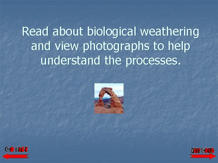 Read about biological weathering and view photographs to help understand the processes. 