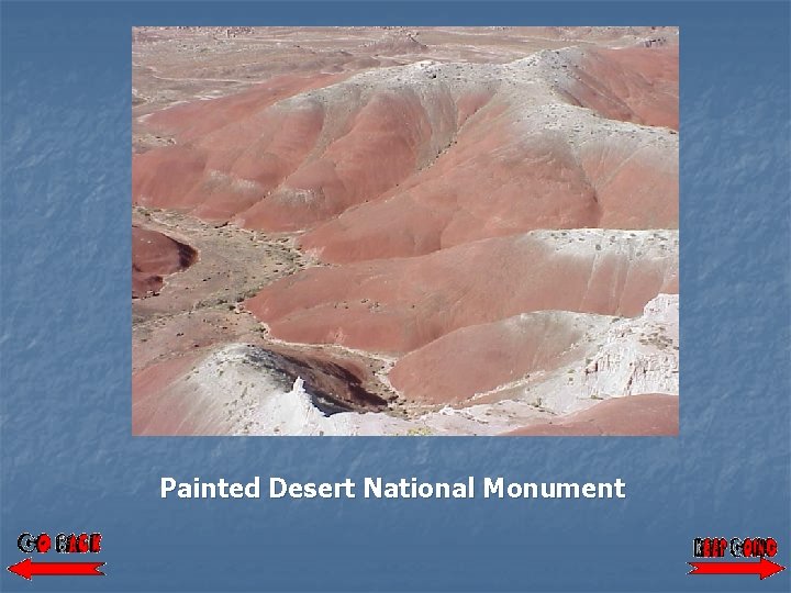 Painted Desert National Monument 