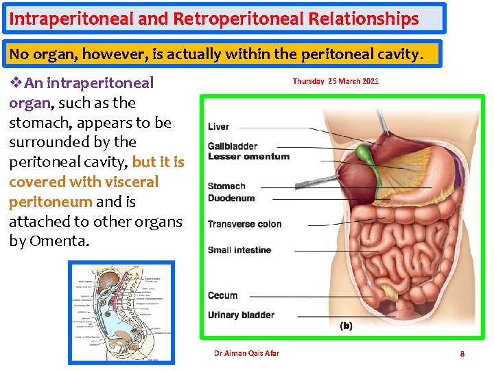 Infraperitoneal GASTROINTESTINEAL SYSTEM THE PERITONEUM Dr Aiman Qais Afar