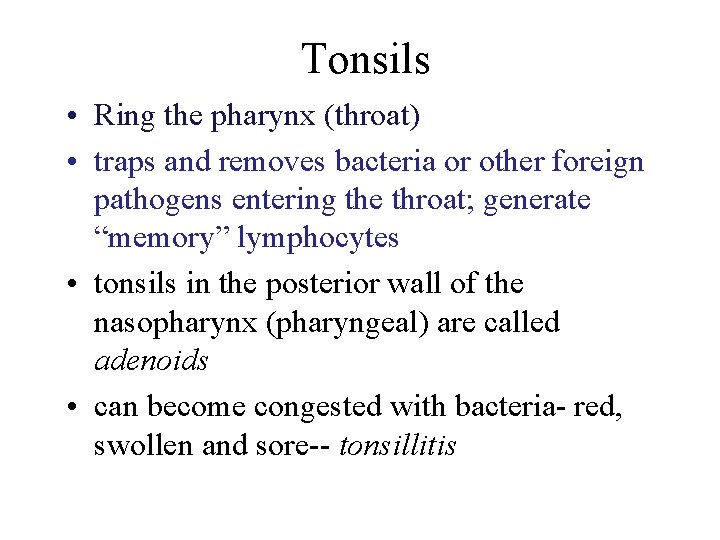 Tonsils • Ring the pharynx (throat) • traps and removes bacteria or other foreign