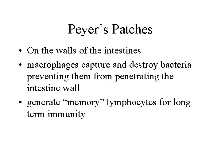 Peyer’s Patches • On the walls of the intestines • macrophages capture and destroy