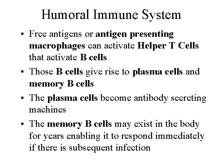 Humoral Immune System • Free antigens or antigen presenting macrophages can activate Helper T
