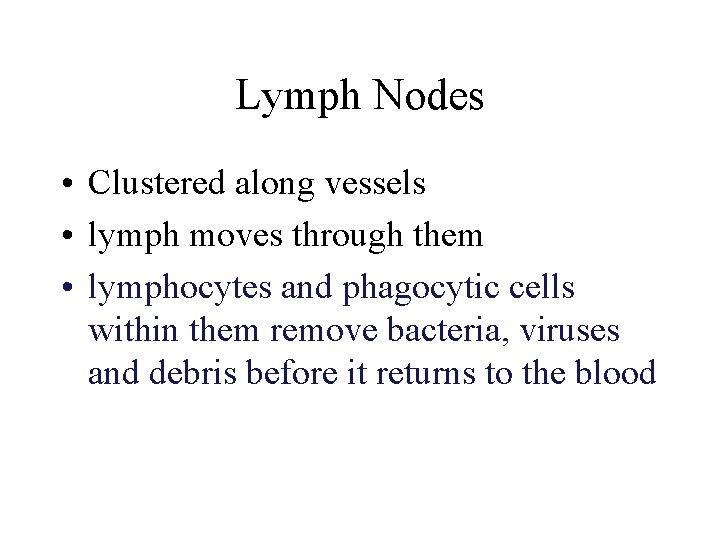 Lymph Nodes • Clustered along vessels • lymph moves through them • lymphocytes and