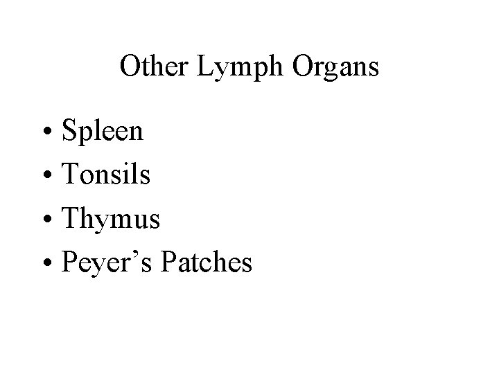 Other Lymph Organs • Spleen • Tonsils • Thymus • Peyer’s Patches 