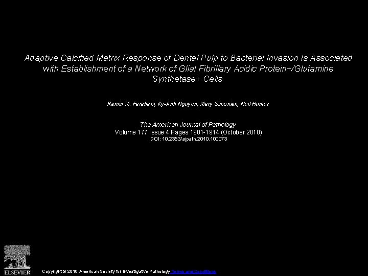 Adaptive Calcified Matrix Response of Dental Pulp to Bacterial Invasion Is Associated with Establishment