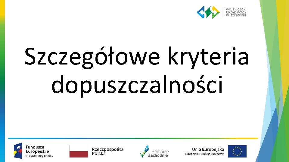 Szczegółowe kryteria dopuszczalności 