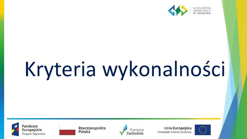 Kryteria wykonalności 