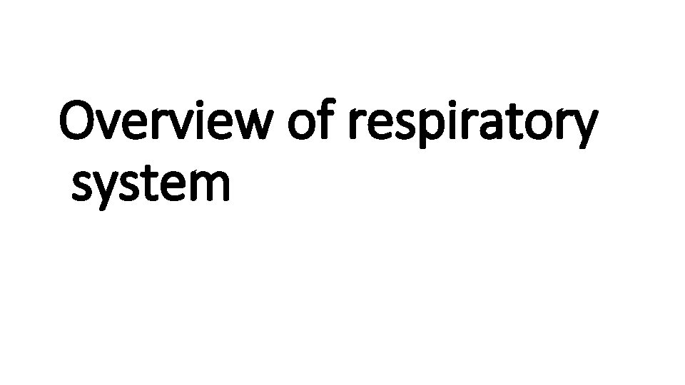 Overview of respiratory system 