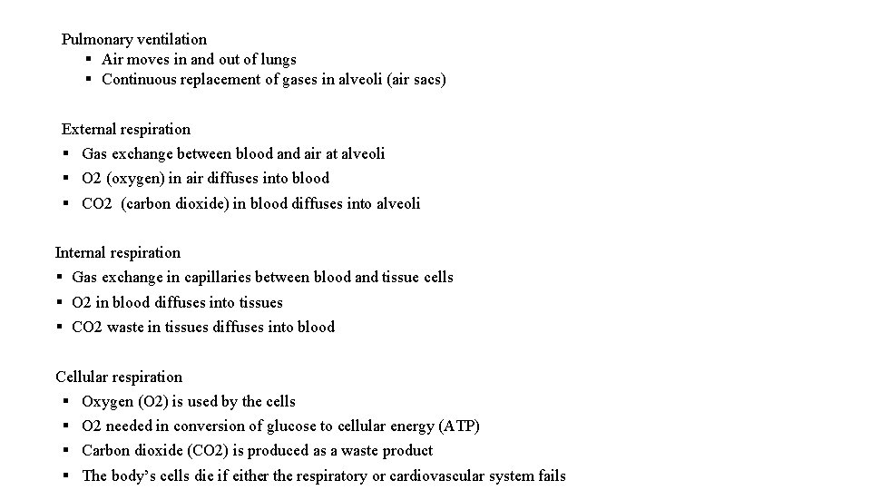 Pulmonary ventilation § Air moves in and out of lungs § Continuous replacement of