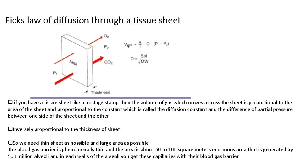 Ficks law of diffusion through a tissue sheet q if you have a tissue