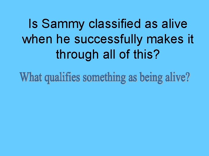 Is Sammy classified as alive when he successfully makes it through all of this?