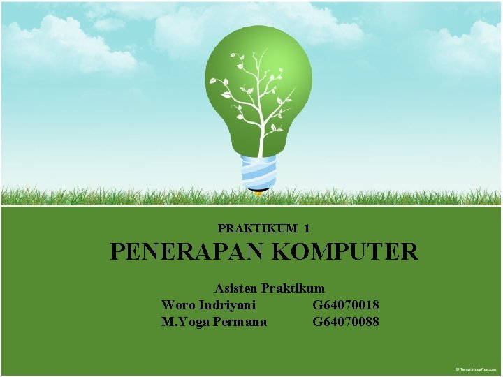 PRAKTIKUM 1 PENERAPAN KOMPUTER Asisten Praktikum Woro Indriyani G 64070018 M. Yoga Permana G