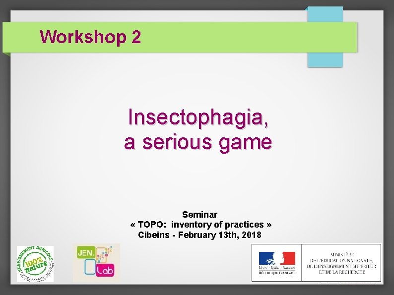 Workshop 2 Insectophagia, a serious game Seminar « TOPO: inventory of practices » Cibeins
