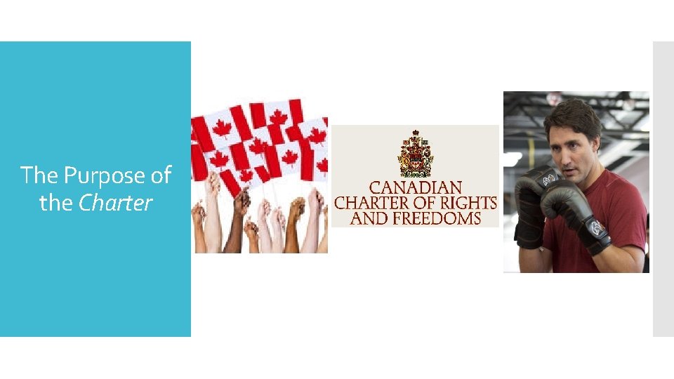 The Purpose of the Charter 