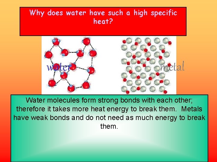 Why does water have such a high specific heat? water metal Water molecules form