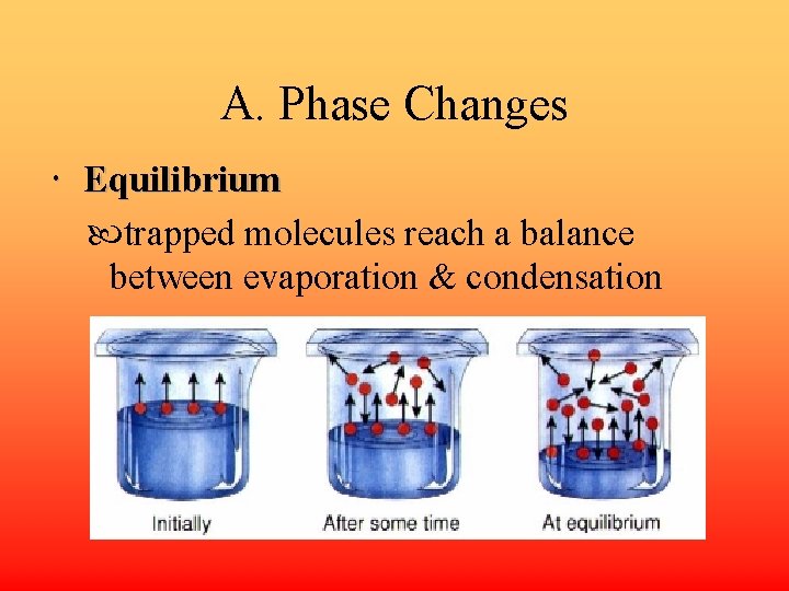 A. Phase Changes Equilibrium trapped molecules reach a balance between evaporation & condensation 